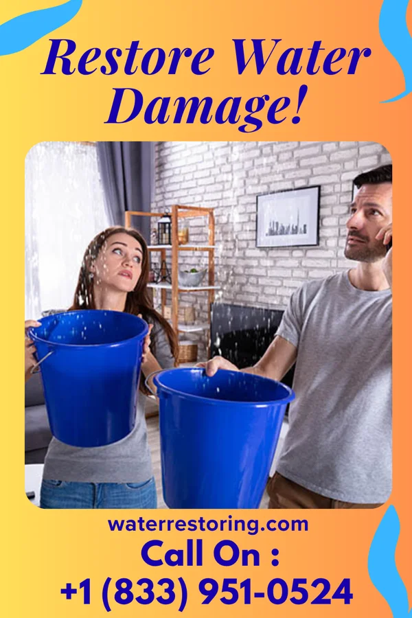 water restoration Advanced Flood LLC Lynwood